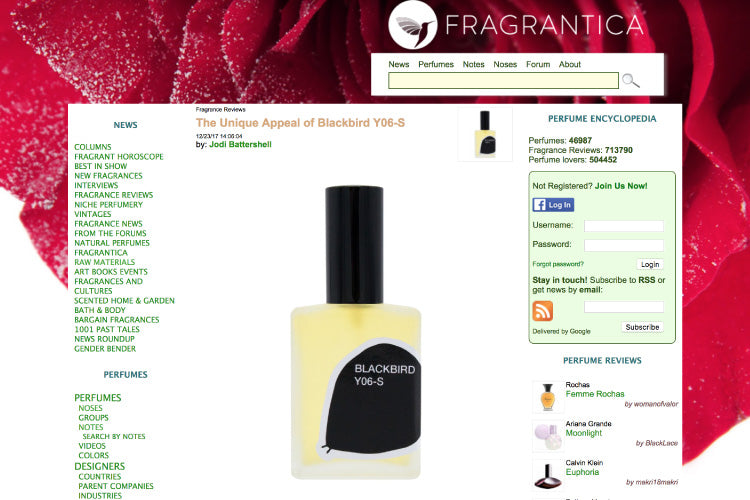 Fragrantica gets the unique appeal of Y06-S